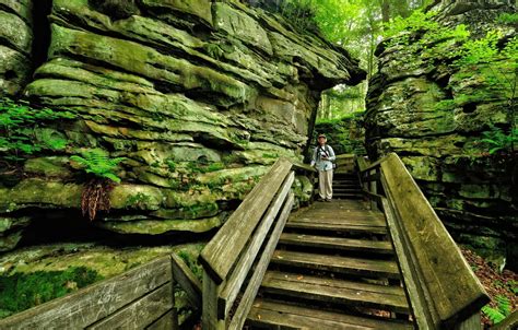 bear town wv.